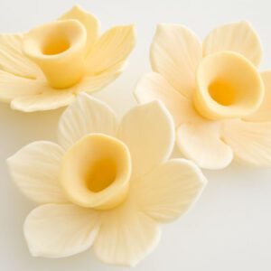 Featured_Img