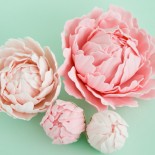 Featured_img Featured_img