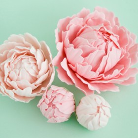 How to make a gum paste peony (part 1)