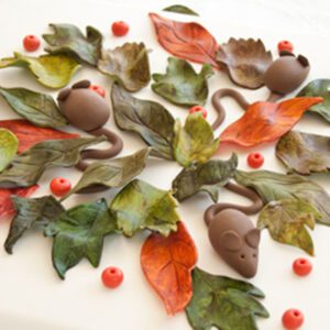 Cake with fall leaves