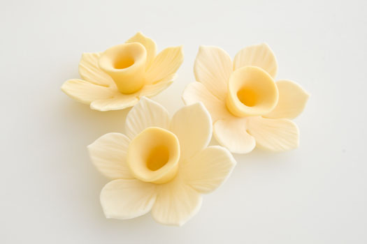 gum paste daffodil