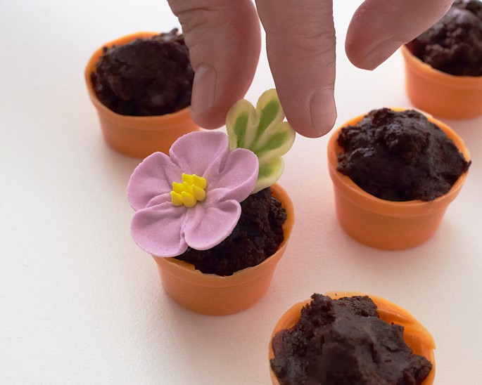 flower pot cakes