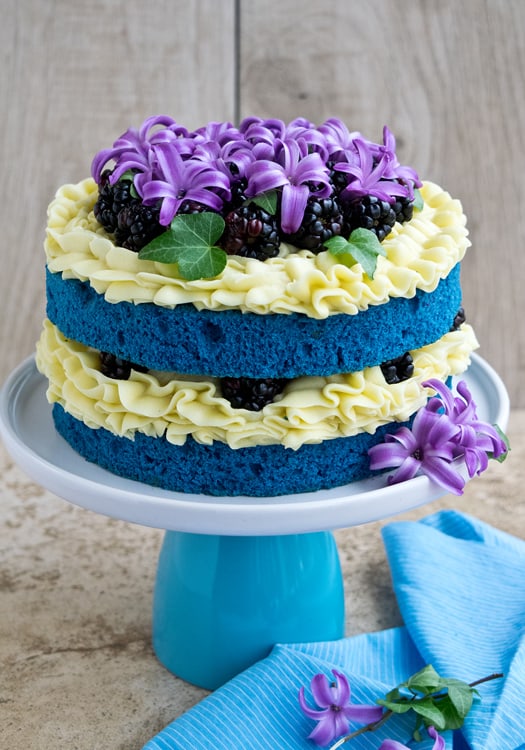 How To Make A Blue Velvet Naked Cake • CakeJournal.com