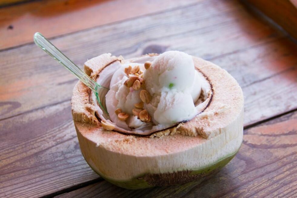 Vegan Coconut Ice Cream With A Vanilla Twist